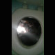 A girl records herself behind her ass as she takes a shit and a piss into a filthy outhouse toilet. 720P vertical format HD video. About a minute.